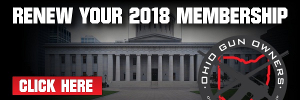 Where do YOU want us to fight in 2018?