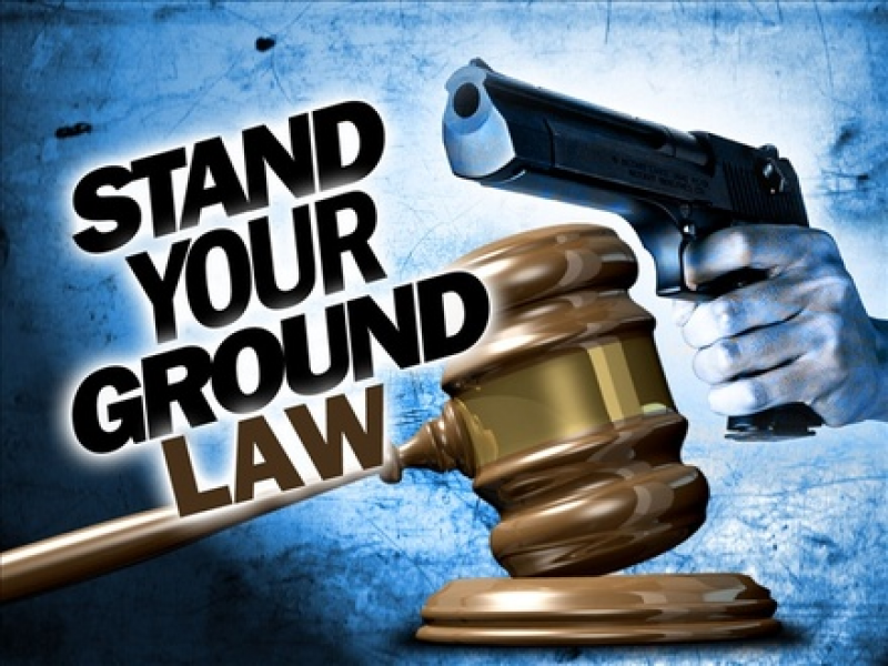 House Leadership Advances Gun-Control Bill, Kills Vitale’s Stand-Your-Ground Amendment to HB228!