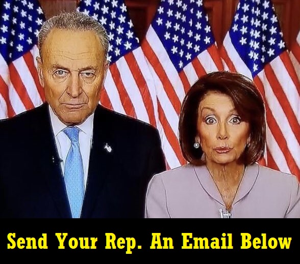 Pelosi Introduces National Gun Owner Registration