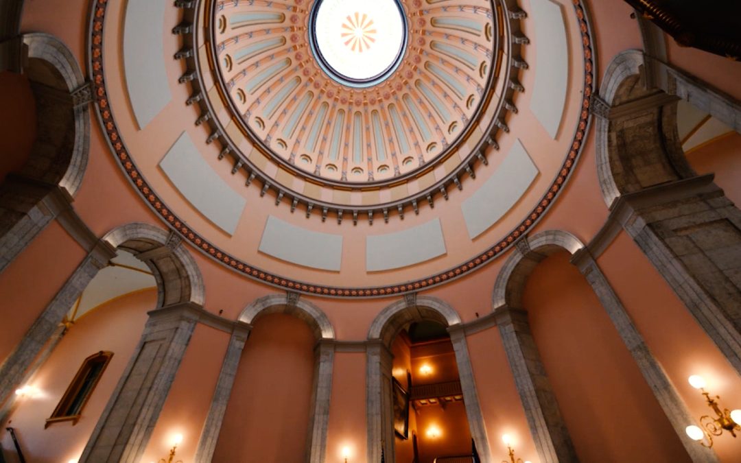 OGO Alert: Constitutional Carry Vote TODAY!