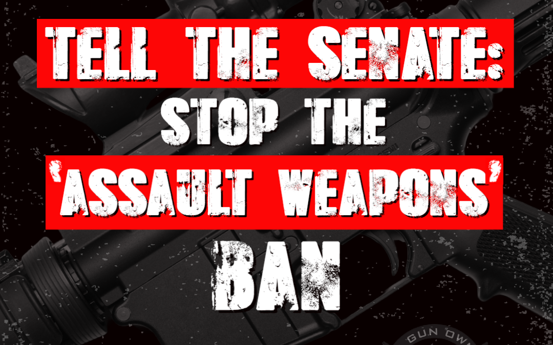 Assault Weapon Ban is Their Top Priority!