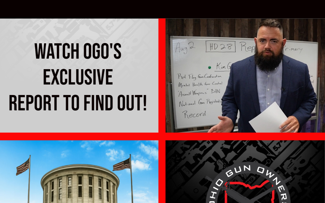 Who Will Fight for Gun Owners in NE Hamilton County (HD-28?)