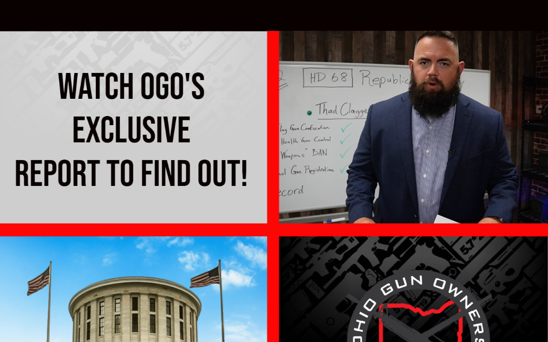 Who Will Fight for Gun Owners in Licking County (HD-68?)