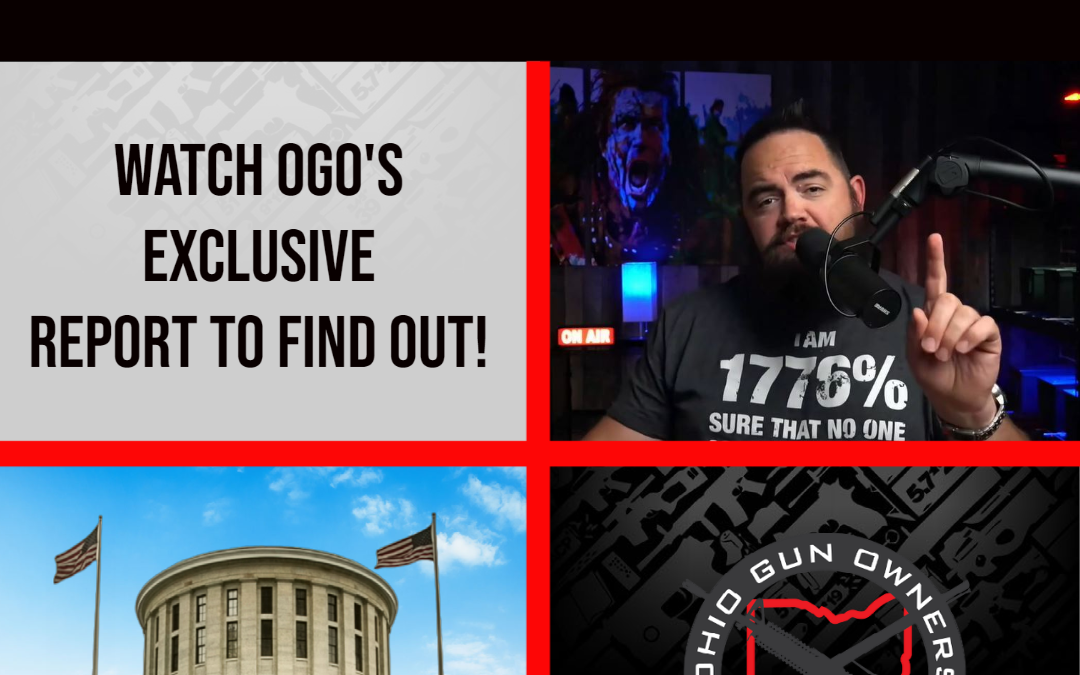 Who Will Fight for Gun Owners in Greene County (HD-70?)