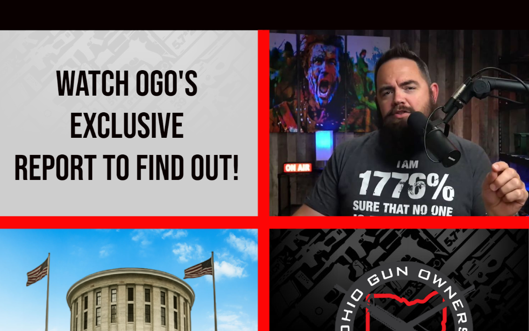 Who Will Fight for Gun Owners in Allen and Auglaize Counties (HD-78?)
