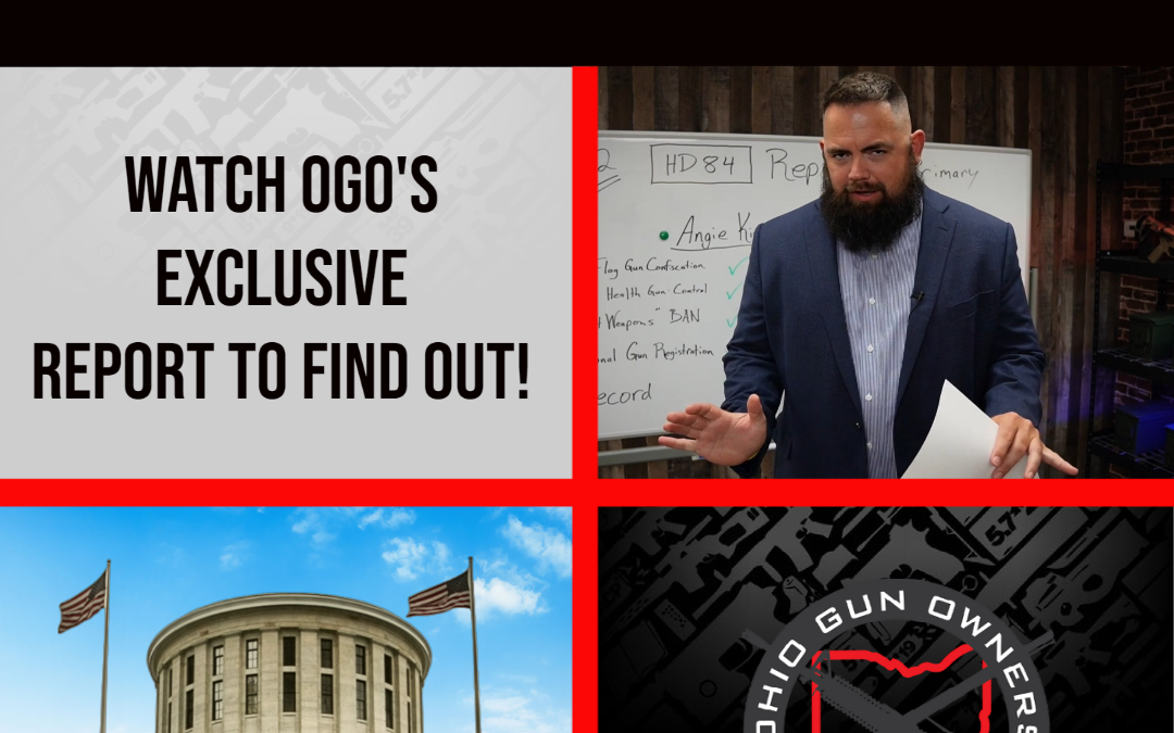 Who Will Fight for Gun Owners in House District 84?