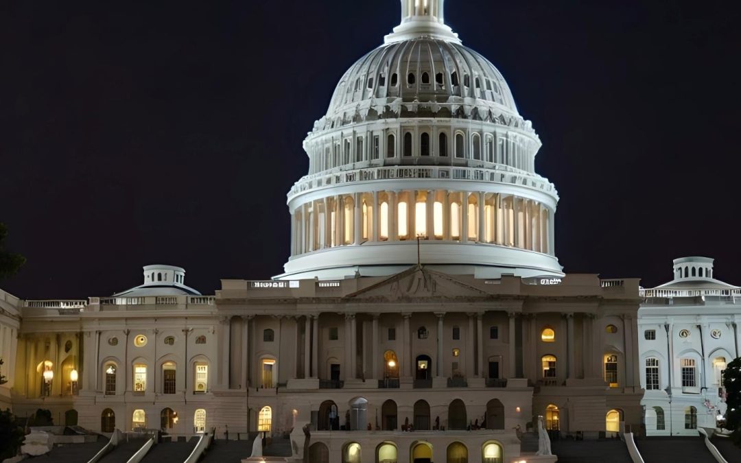 Don’t Let Congress Ban Online Ammo Sales!