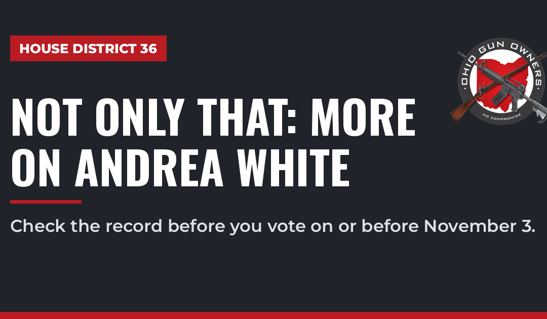 House District 36: More on Andrea White’s Gun Rights Record