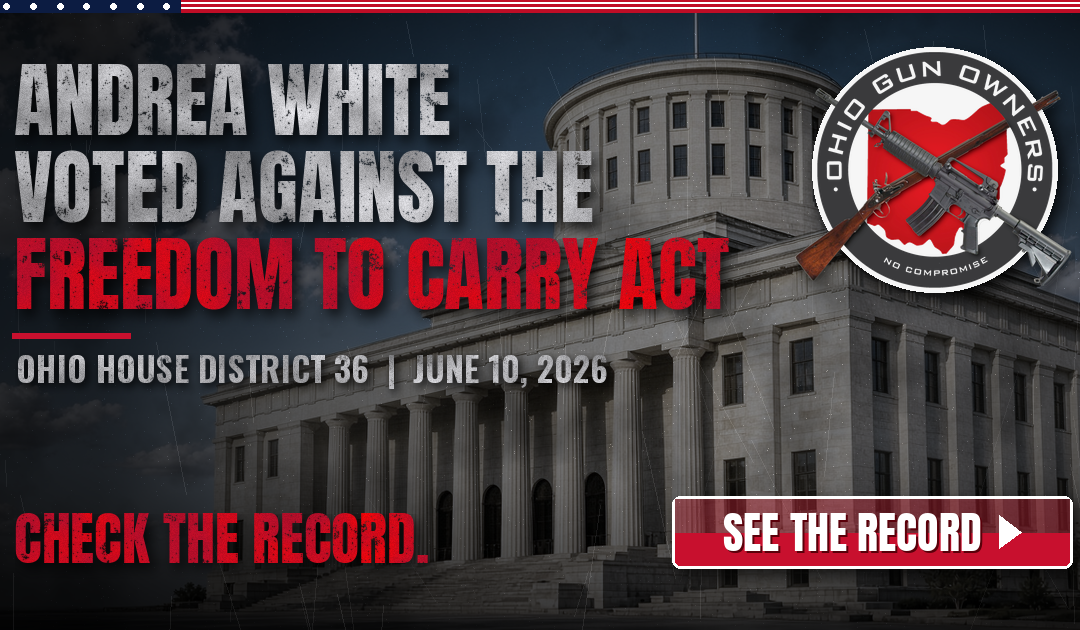 House District 36: Andrea White and the June 10 Vote