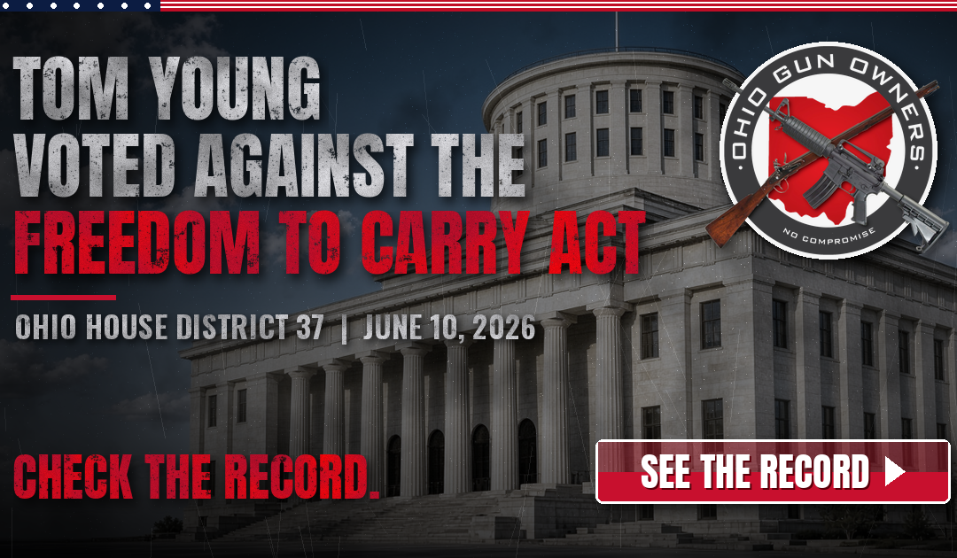 House District 37: Tom Young and the June 10 Vote