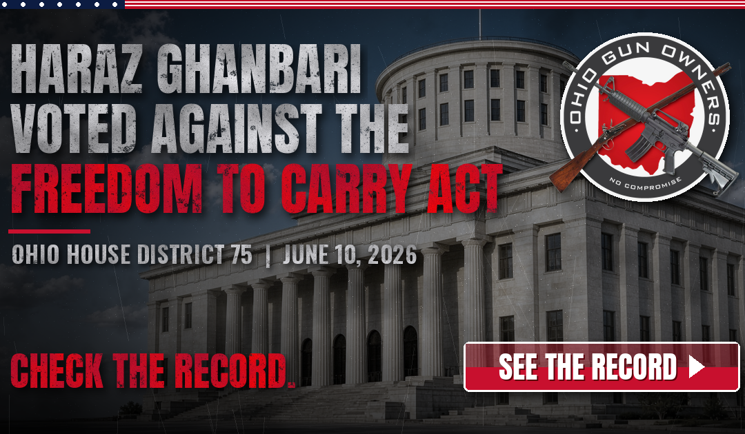 House District 75: Haraz Ghanbari and the June 10 Vote