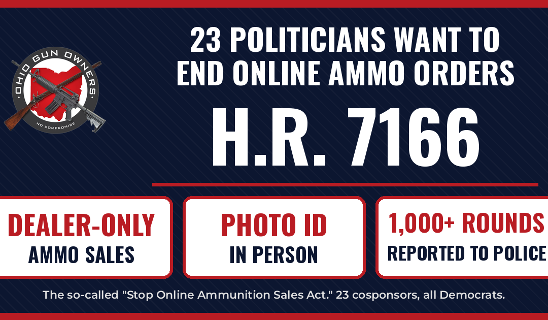 23 Politicians Want to End Online Ammo Orders