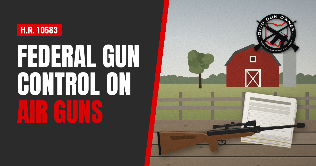 Federal Gun Control on Air Guns