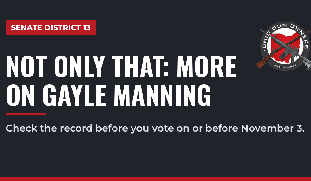Senate District 13: More on Gayle Manning’s Gun Rights Record