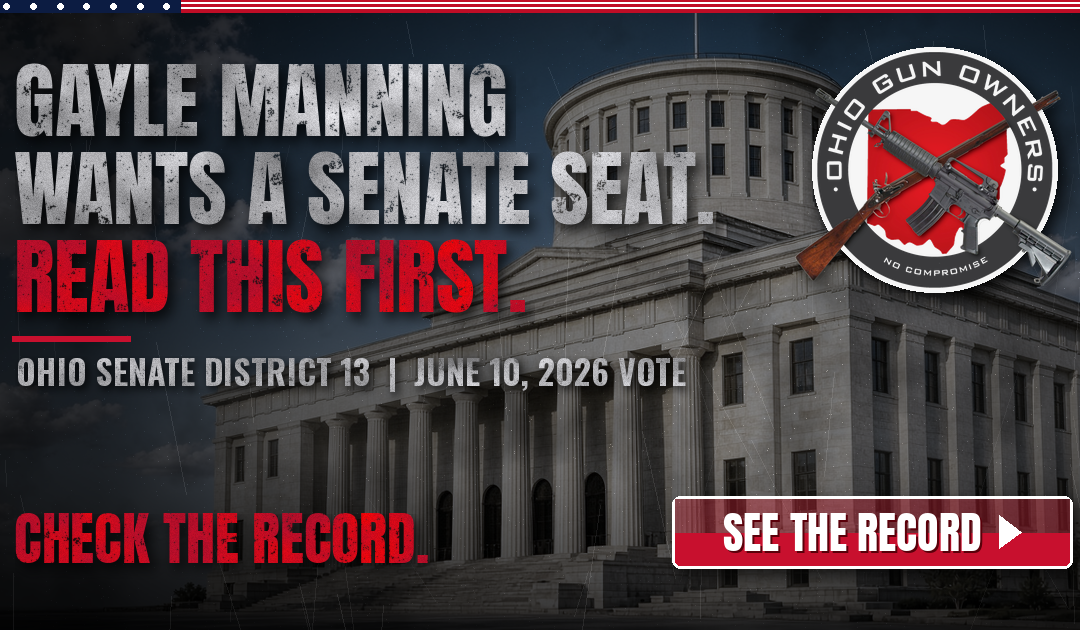 Senate District 13: Gayle Manning Wants a Senate Seat. Read This First.