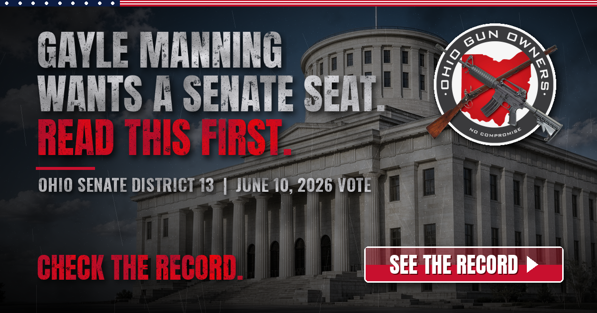 Senate District 13: Gayle Manning Wants a Senate Seat. Read This First.